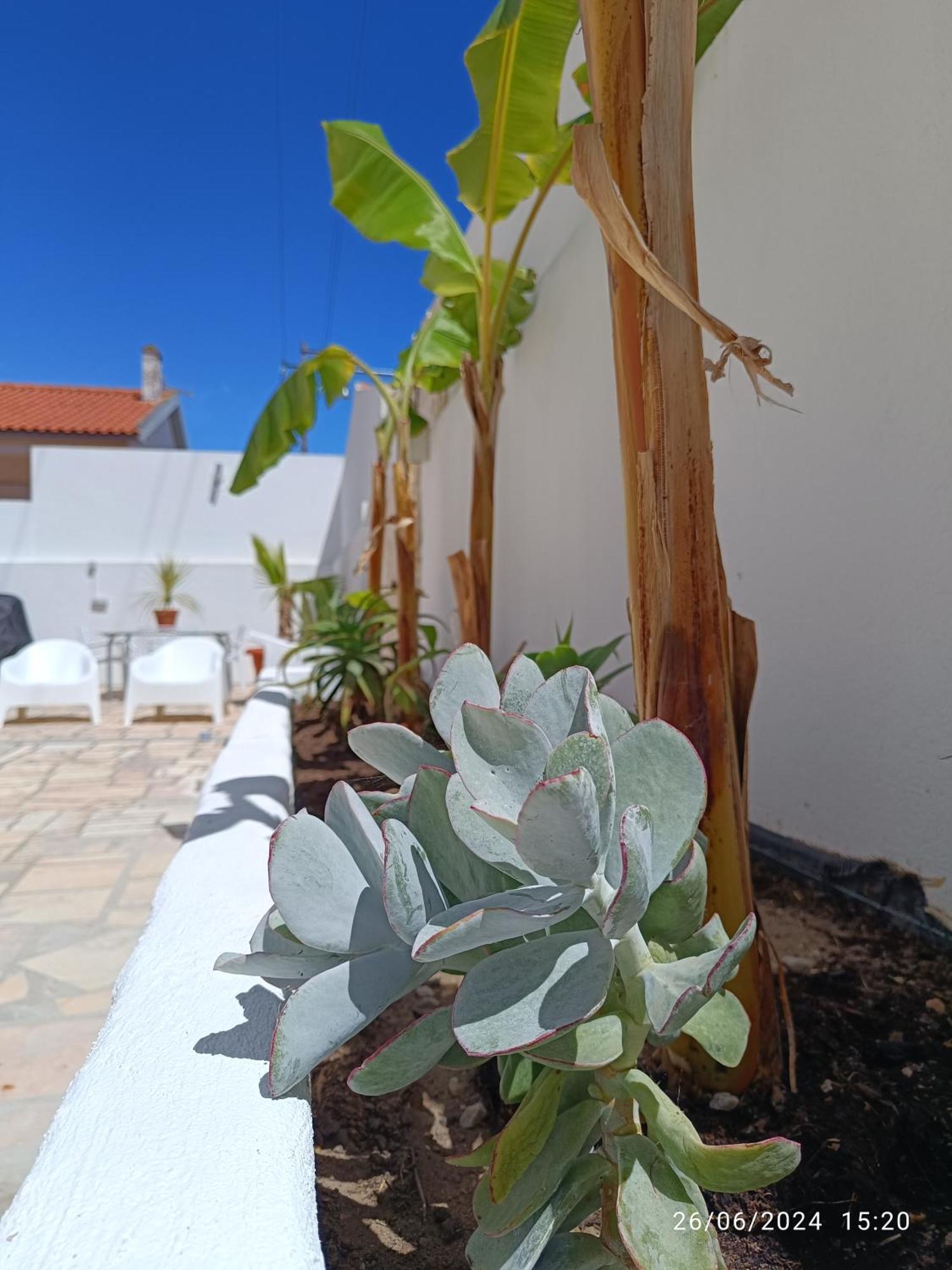 Bed and Breakfast SUPERTUBOS HOUSE Peniche Atouguia Da Baleia Exterior foto